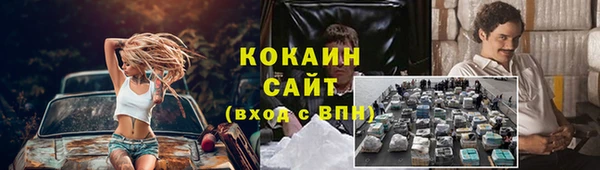 PSILOCYBIN Богородск