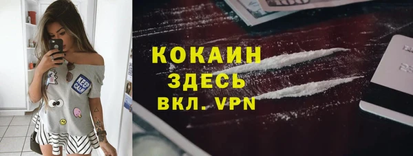 PSILOCYBIN Богородск
