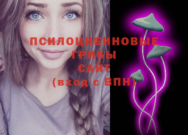 PSILOCYBIN Богородск